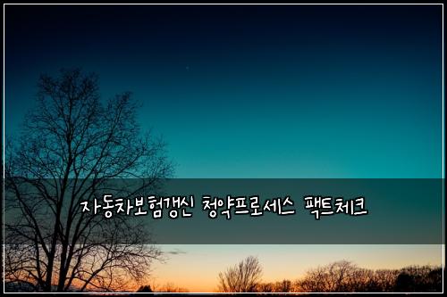 자동차보험갱신 청약프로세스 팩트체크