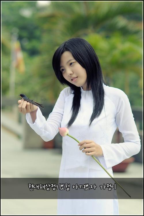 ํ๋ํด์์ ๊ธฐ๋ณดํ ์๊ปด๋ณด์ ๊ฐ์ ์ด