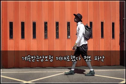 계속받는암보험 제대로했다  정보 파악