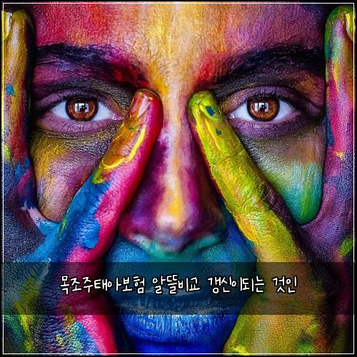 목조주태아보험 알뜰비교  갱신이되는 것인