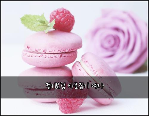 정기보험 바로집기  여자