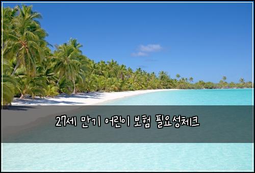 27세 만기 어린이 보험 필요성체크 