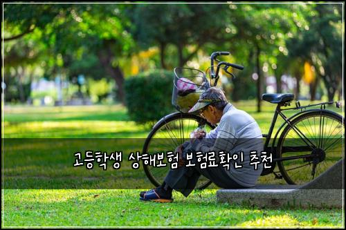 고등학생 상해보험 보험료확인  추천
