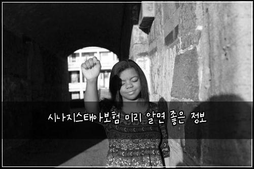 시나지스태아보험 미리 알면 좋은 정보