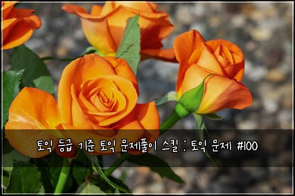 ํ ์ต ๋ฑ๊ธ ๊ธฐ์ค ํ ์ต ๋ฌธ์ ํ์ด ์คํฌ : ํ ์ต ๋ฌธ์ #100