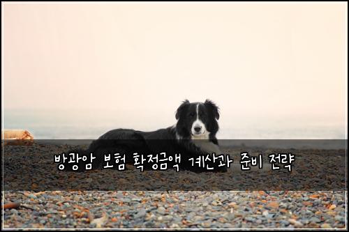 방광암 보험 확정금액 계산과 준비 전략