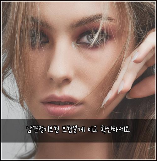 남편정기보험 보험설계  비교 확인하세요