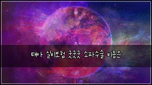 태아 실비보험 굿굿굿  소파수술 비용은