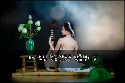 태아보험 정말싼곳은  맞춤형가입