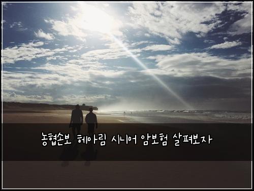 농협손보 헤아림 시니어 암보험 살펴보자