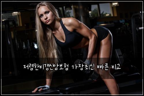 저렴한비갱신암보험 가장최신  빠른 비교