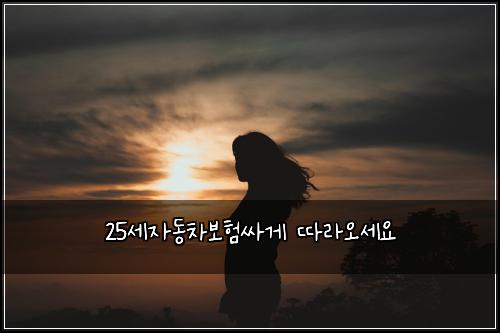 25세자동차보험싸게 따라오세요