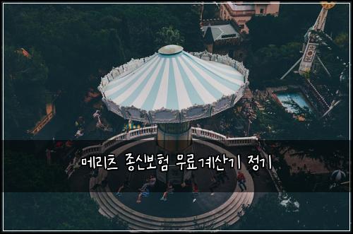 메리츠 종신보험 무료계산기  정기