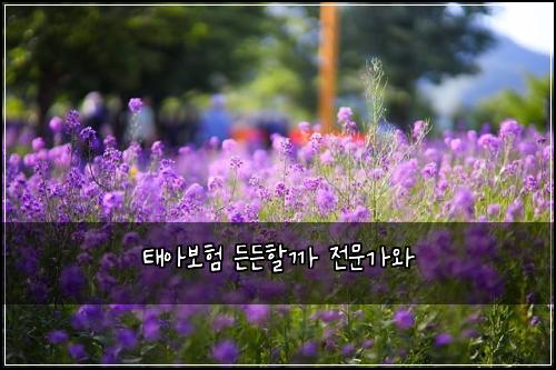 태아보험 든든할까  전문가와
