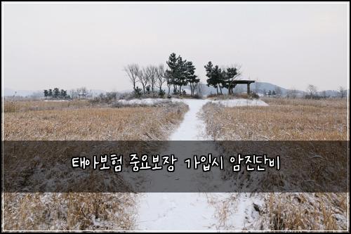 νμ보ν μ€μ보μ₯ κ°μ
μ μμ§λ¨λΉ