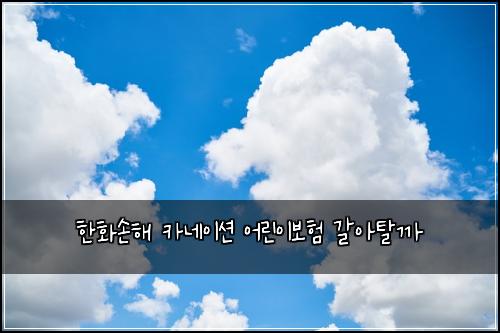 한화손해 카네이션 어린이보험 갈아탈까 