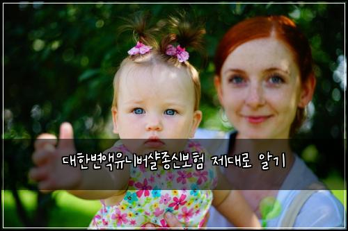 대한변액유니버샬종신보험 제대로 알기