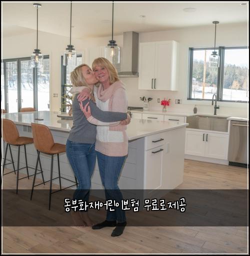 동부화재어린이보험 무료로제공 