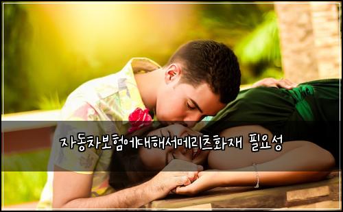 자동차보험에대해서메리츠화재 필요성