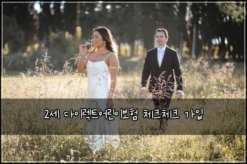 2세 다이렉트어린이보험 체크체크  가입