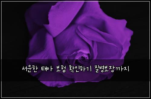 서운한 태아 보험 확인하기  질병보장까지
