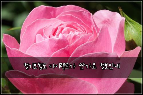 ์ ๊ธฐ๋ณดํ๋ ๋ค์ด๋ ํธ๊ฐ ์ผ๊ฐ์ ์ ๋ณด์๋ด