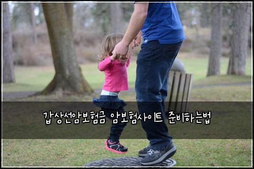 ๊ฐ์์ ์๋ณดํ๊ธ ์๋ณดํ์ฌ์ดํธ ์ค๋นํ๋๋ฒ