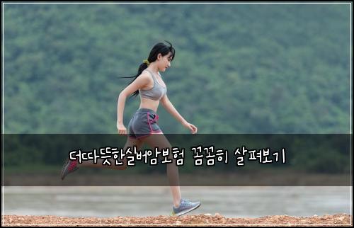 더따뜻한실버암보험 꼼꼼히 살펴보기