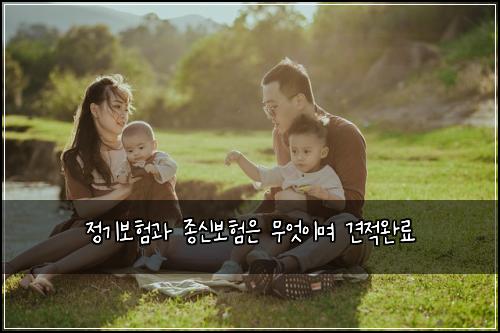 정기보험과 종신보험은 무엇이며 견적완료