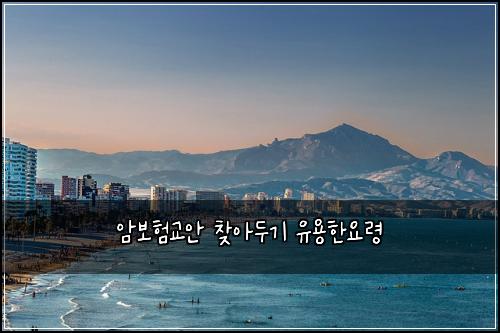 암보험교안 찾아두기 유용한요령