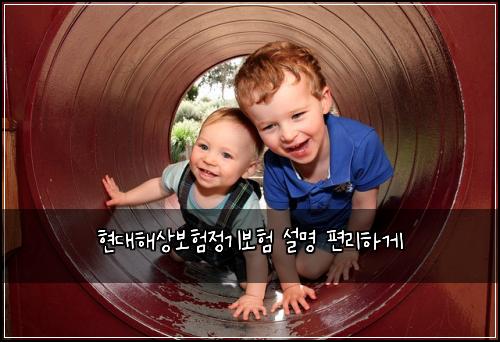 ํ๋ํด์๋ณดํ์ ๊ธฐ๋ณดํ ์ค๋ช
ํธ๋ฆฌํ๊ฒ