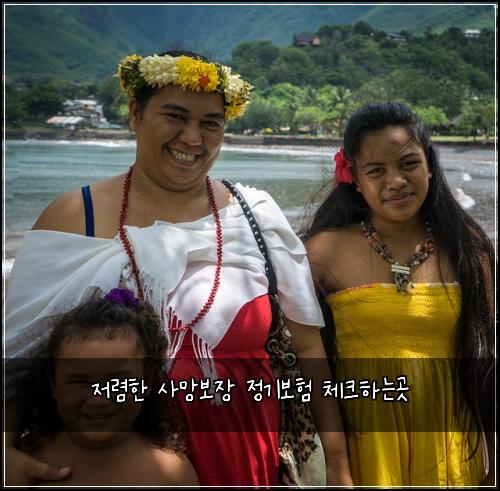 저렴한 사망보장 정기보험 체크하는곳 