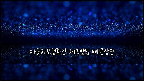 자동차보험확인 체크방법 빠른상담