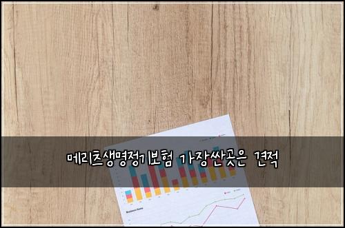 메리츠생명정기보험 가장싼곳은  견적