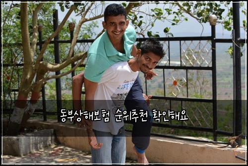 동부상해보험 순위추천  확인해요