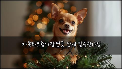 ์๋์ฐจ๋ณดํ๊ฐ์ฅ์ผ๊ณณ ์๋ด ๋ง์ถคํ๊ฐ์