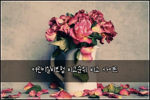 ์ด๋ฆฐ์ด์ค๋น๋ณดํ ๋น๊ต์์ ๋น๊ต ์ฌ์ดํธ