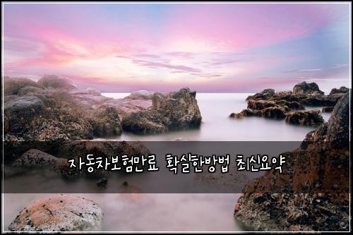 자동차보험만료 확실한방법 최신요약
