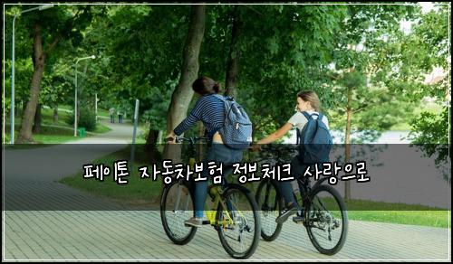 ํ์ดํค ์๋์ฐจ๋ณดํ ์ ๋ณด์ฒดํฌ ์ฌ๋์ผ๋ก