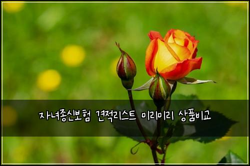 자녀종신보험 견적리스트  미리미리 상품비교