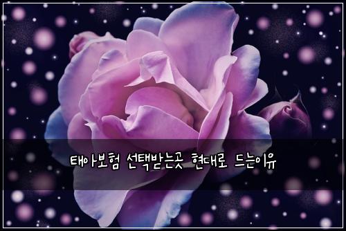 ํ์๋ณดํ ์ ํ๋ฐ๋๊ณณ ํ๋๋ก ๋๋์ด์