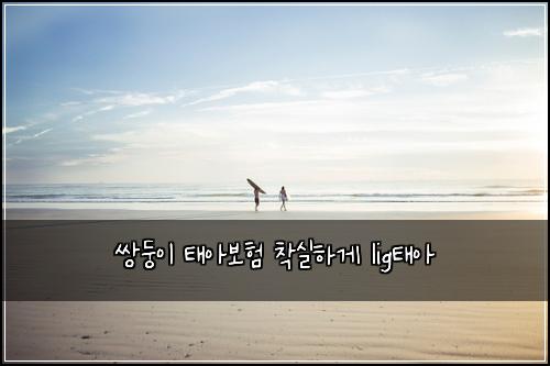 μλ₯μ΄ νμ보ν μ°©μ€νκ² ligνμ