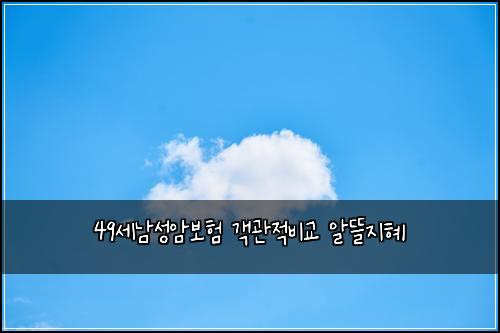 49์ธ๋จ์ฑ์๋ณดํ ๊ฐ๊ด์ ๋น๊ต ์๋ฐ์งํ