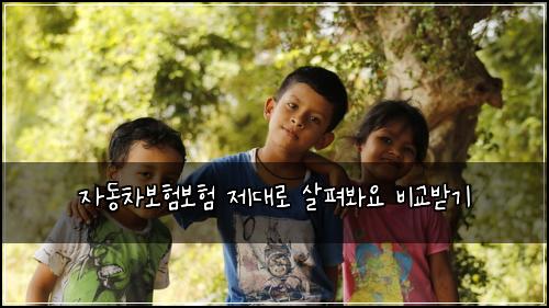 자동차보험보험 제대로 살펴봐요 비교받기