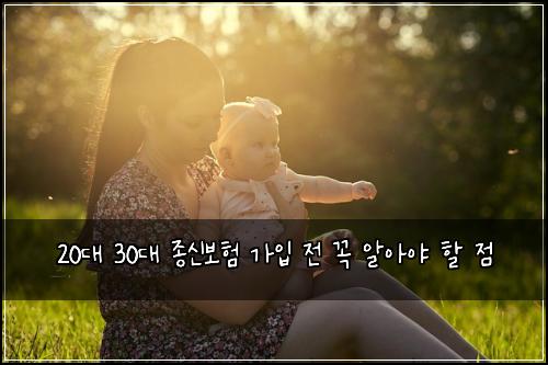 20대 30대 종신보험 가입 전 꼭 알아야 할 점