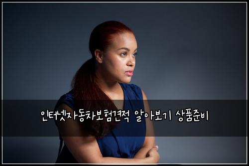 인터넷자동차보험견적 알아보기 상품준비