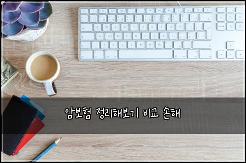 암보험 정리해보기  비교 손해