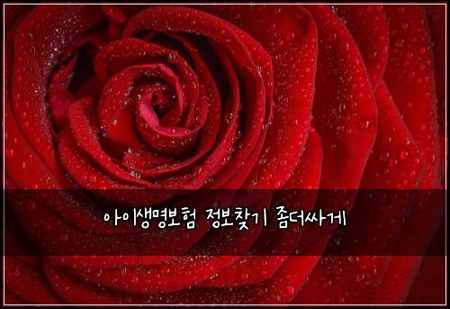 아이생명보험 정보찾기  좀더싸게