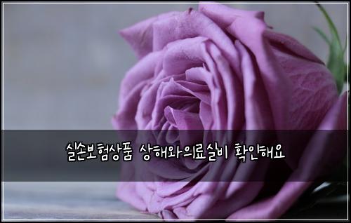 실손보험상품 상해와의료실비 확인해요