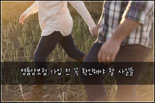 명품암보험 가입 전 꼭 확인해야 할 사실들